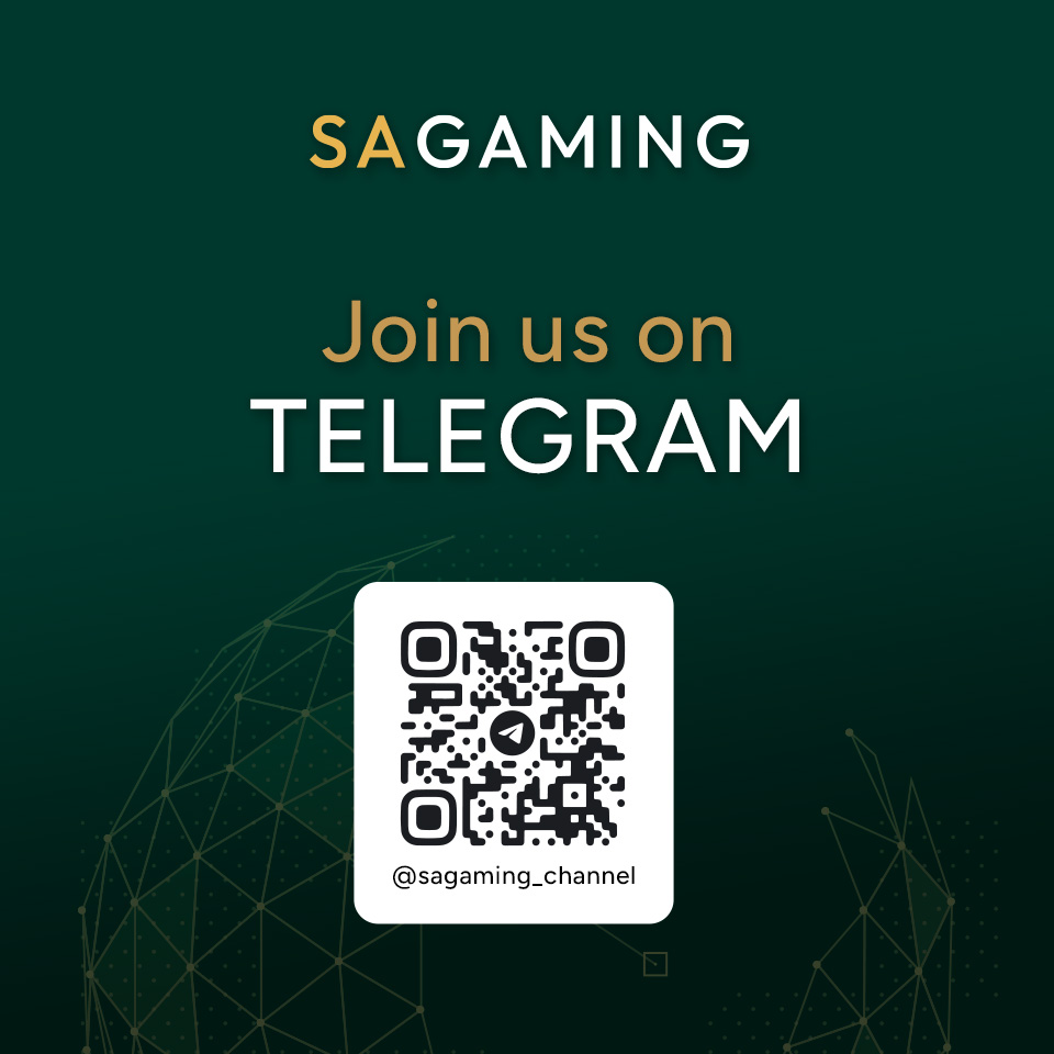 追踪我们的 Telegram！